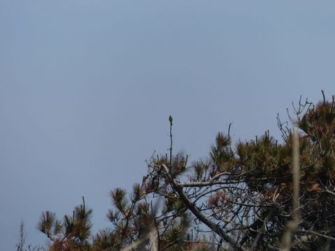 P1070135_1600.jpg