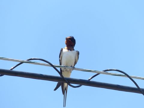 P1070154_1600.jpg
